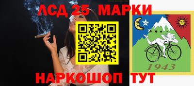 spice Жуковский