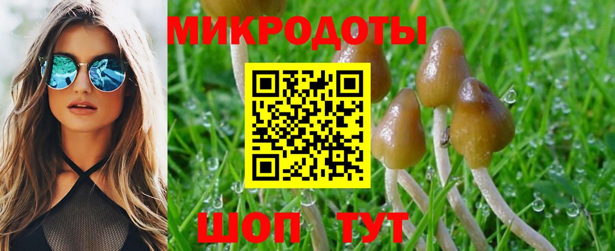 Галлюциногенные грибы Cubensis  Вход с VPN  Иваново 